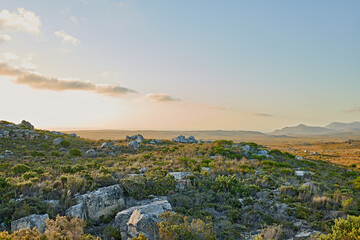 Fototapeta na wymiar The wilderness of Cape Point National Park. The wilderness of Cape Point National Park, Western Cape, South Africa.