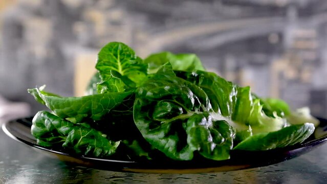 Blur Green Romaine Lettuce leaves, vegetable background