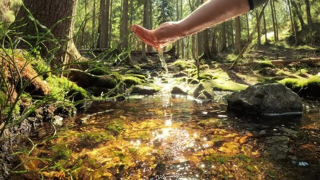 Man taking clear drinking water from a stream in forest. Close-up hand. Nuuksio National Park, Finland. Sunny summer day in forest. Beautiful spring water running in rocks.