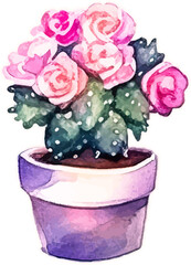 Cactus watercolor, cacti plant hand drawn