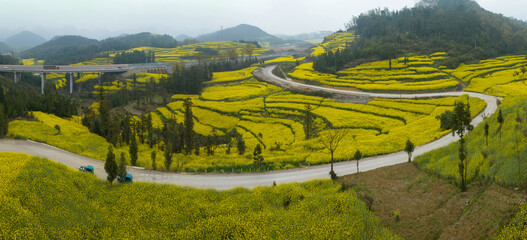 Aerial view of yellow cole flowers flowering at countryside, Yunnan province,China