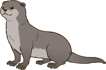 コツメカワウソ