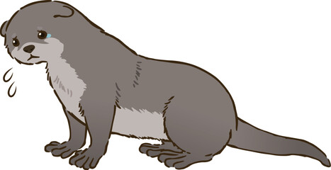 悲しむカワウソ