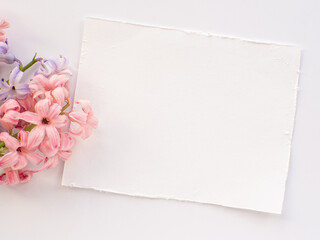 Hyacinth flowers and paper background with copy space
