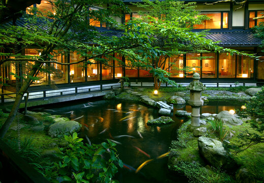 美しい日本庭園 池を泳ぐ錦鯉 Stock Photo | Adobe Stock