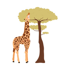 Cute giraffe standing near to acacias tree in Africa, cartoon flat vector illustration isolated on white background.