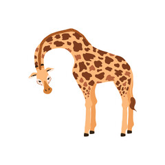 Standing giraffe african animal character flat vector illustration isolated.