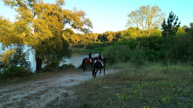 Following two girls riding Lusitano horses, in the forest with a lake as background. The Lusitano horse is a breed of horses originating in Portugal, it is the oldest saddle horse in the world.
