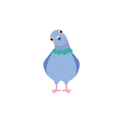 Funny blue pigeon watching tilting head front view flat style