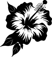 Hibiscus tropical flower. Black and white graphic, of Hawaiian flora. Vector illustration on white isolated background. Good for packaging, posters, and social media. © Orange Brush