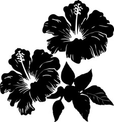 Hibiscus tropical flowers. Black and white graphic, of Hawaiian flora. Vector illustration on white isolated background. Good for packaging, posters, and social media. © Orange Brush
