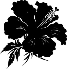 Hibiscus tropical flower. Black and white graphic, of Hawaiian flora. Vector illustration on white isolated background. Good for packaging, posters, and social media. © Orange Brush