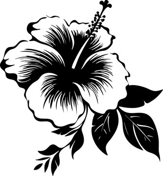 Hibiscus tropical flower. Black and white graphic, of Hawaiian flora. Vector illustration on white isolated background. Good for packaging, posters, and social media.