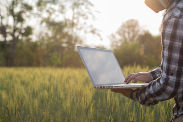 Farmer giving advice on wheat work online on tablet in wheat field
