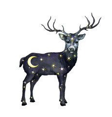 Celestial deer with stars and moon inside. Beautiful space animal with night sky, cosmos for mysterious tattoo, fantasy natural universe design. Vector watercolor 