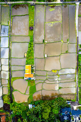 Fototapeta premium Aerial view of residential area in Ubud, Bali, Indonesia