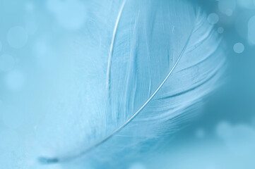 Abstract blue feather on blue background