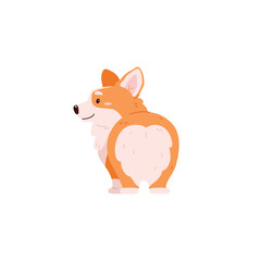 Standing smiling corgi dog back view flat style, vector illustration