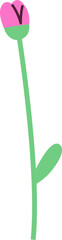 Tulip Flower On Stem