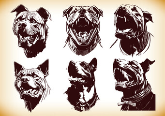 Vector illustration Angry pitbull mascot head