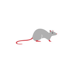 Rat rodent pest animal, flat vector illustration isolated on white background.