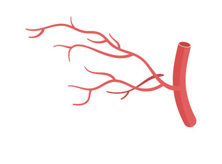 Blood Vessel Illustration