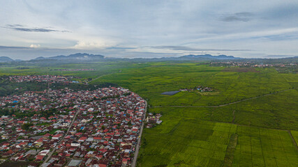 Aerial drone of tea estates Kayu Aro in the highlands. A town surrounded by tea plantations....