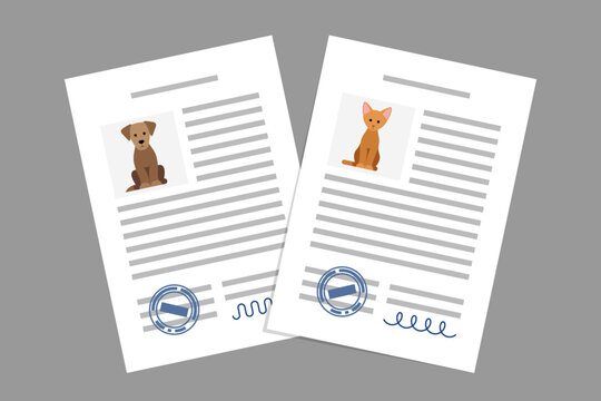 Documents with cat and dog photos, pet adoption or sale agreement