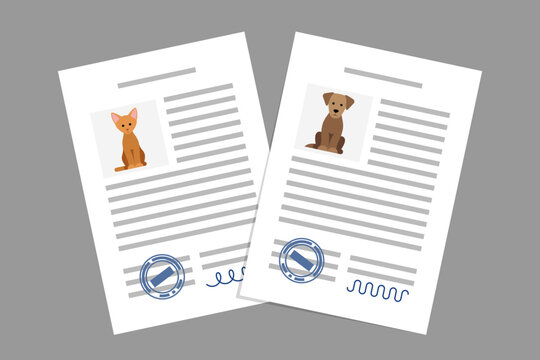 Documents with cat and dog photos, pet adoption or sale agreement