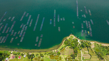 Aerial drone of Fish farm with cages on Maninjau lake. Farming aquaculture or pisciculture...