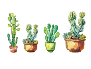 Glasschilderij Cactus in pot Cactus watercolor, cacti plant hand drawn, Vector illustration isolated on white background