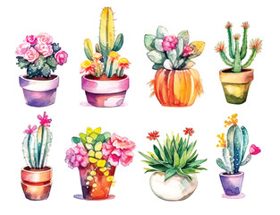 Cactus watercolor, cacti plant hand drawn, Vector illustration isolated on white background