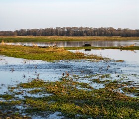 high water on the river Nerl, Bogolyubovo, Russia