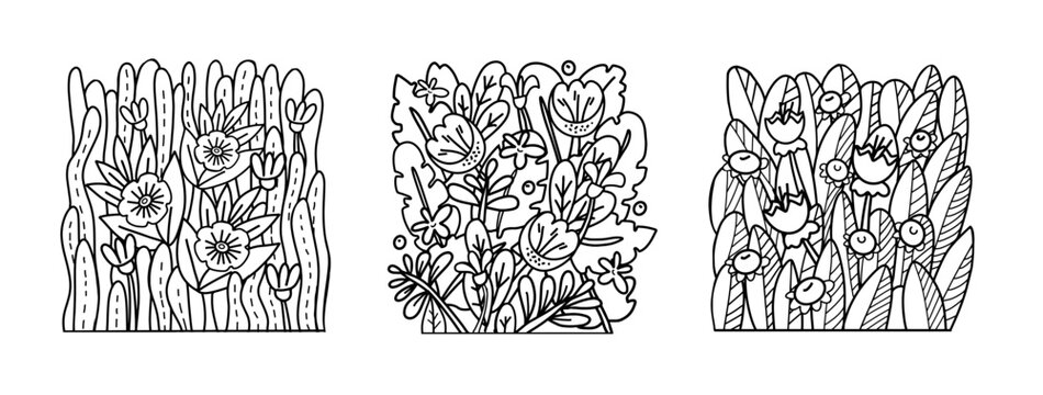 Set of flower composition outline contour graphics for wall decoration, t-shirts, banner design