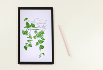 flat lay of digital tablet with picture of house plant in watercolor style on screen,  pink stylus pen,   isolated on white background. Digital art concept.