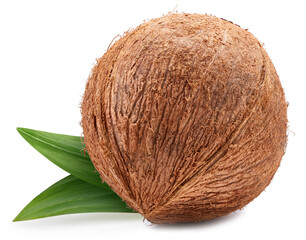 Coconut Clipping Path. Ripe whole coconut with green leaf isolated on white background. Coconut macro studio photo