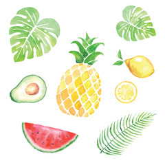 tropical set watercolor hand drawn isolated on white, vector