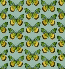 Obraz premium MINT GREEN SEAMLESS PATTERN WITH BRIGHT DIGITAL WATERCOLOR BUTTERFLIES