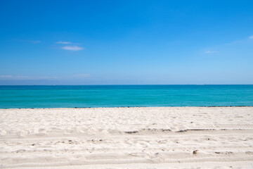 Fototapeta na wymiar horizon view of daylight sky and summer beach