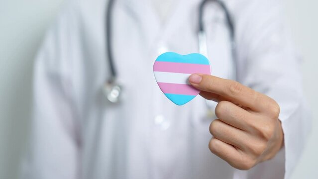 Transgender Day and LGBT pride month,  LGBTQ+ or LGBTQIA+ concept. Doctor holding blue, pink and white heart shape for Lesbian, Gay, Bisexual, Transgender, Queer and Pansexual community