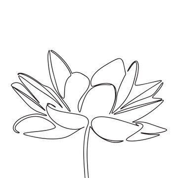 One line continuous flower. Hand drawn vector of water lily Nymphaea isolated on white background. Line art vector illustration. Outline
