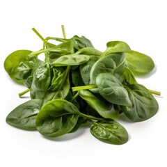 Malabar Spinach Isolated on White. Generative AI
