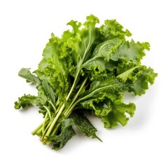 Fototapeta premium Mustard Greens Isolated on White. Generative AI
