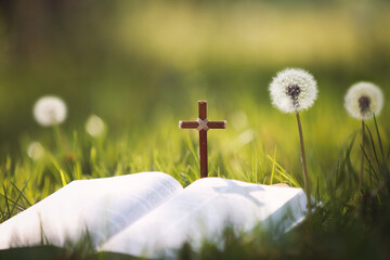 Dandelion flower and dandelion spore in a meadow on a fresh spring day, the Holy Cross of Jesus...