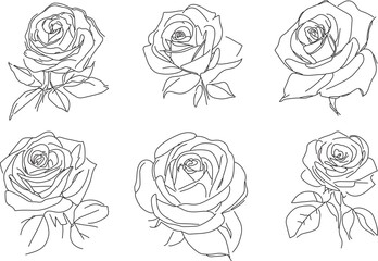 Set of 6 Roses Line Art on a White Background
