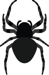 black spider vector image