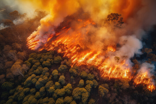 Aerial view of a massive forest fire. Drone top view of wildfire with smoke and burning trees from the height of a bird flight. Ecological catastrophe. 6K high resolution image. Generative AI