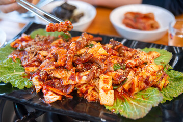 South Korea food. Stir fried Octopus spicy food