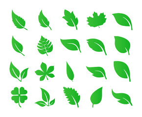 set of green leaves