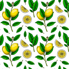  Lemon seamless pattern. Colorful hand drawn vector illustration in sketch style. Tropical exotic citrus fruit summer background